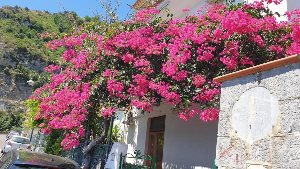 Villa Grace Amalfi Seaview エクステリア 写真