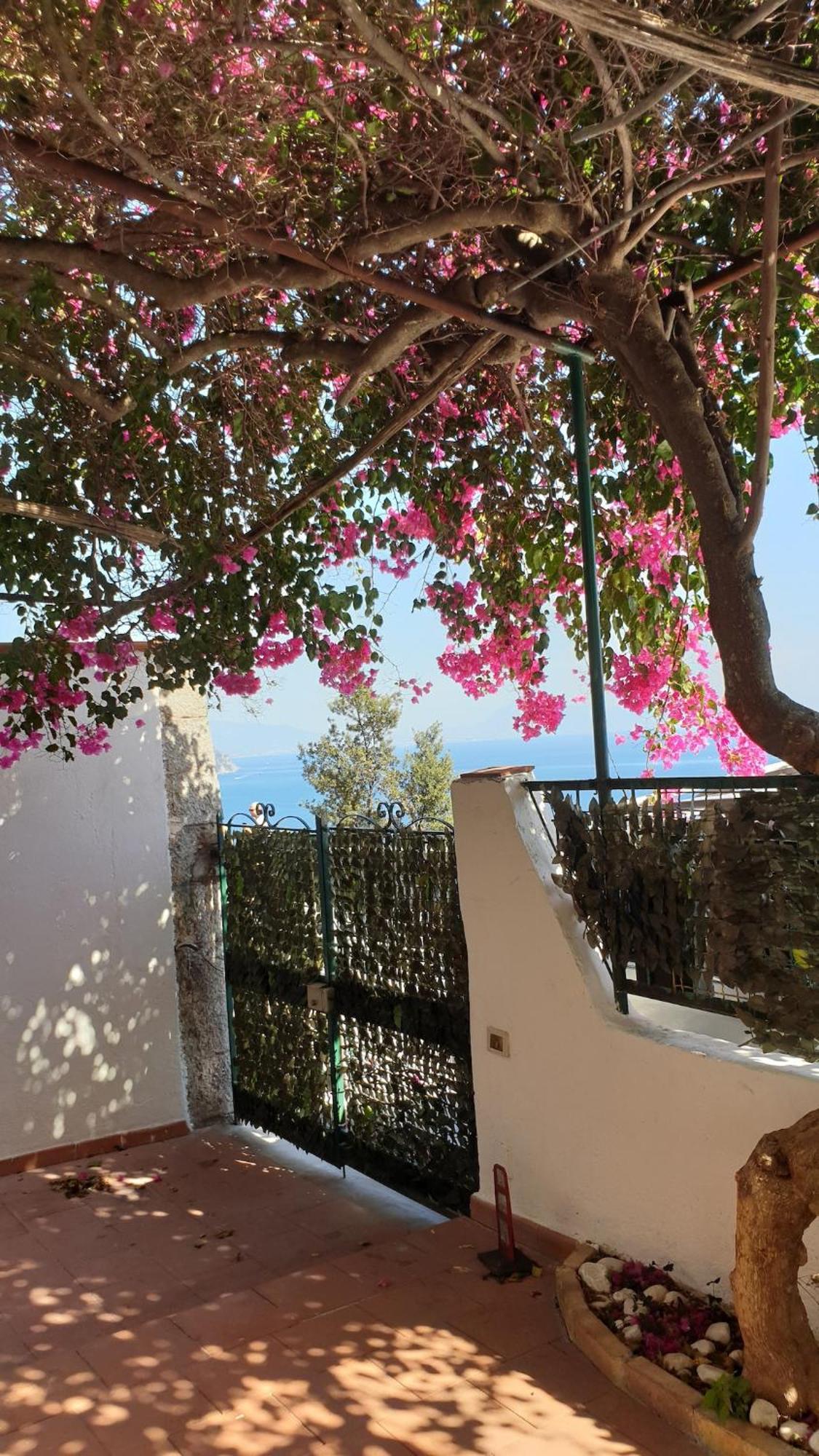 Villa Grace Amalfi Seaview エクステリア 写真
